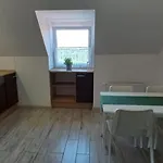 View Kanonierska - Przy Parku Blisko Centrum *